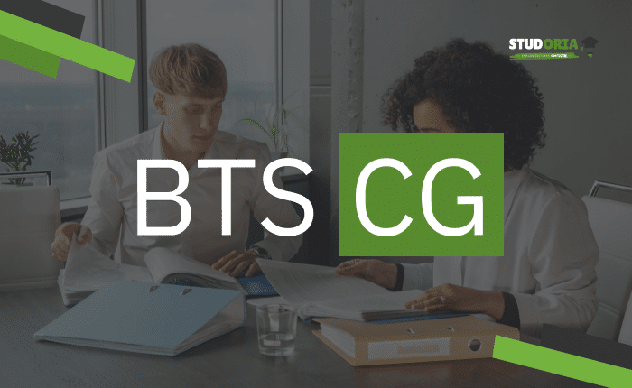 cours BTS CG - Vignette